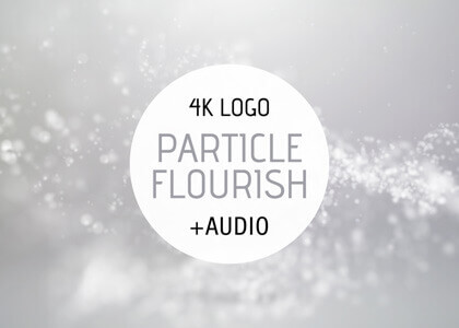 Particle Flourish Logo Reveal – After Effects Template