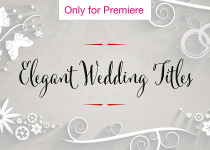 Wedding Titles Motion Graphics Template for Premiere Pro