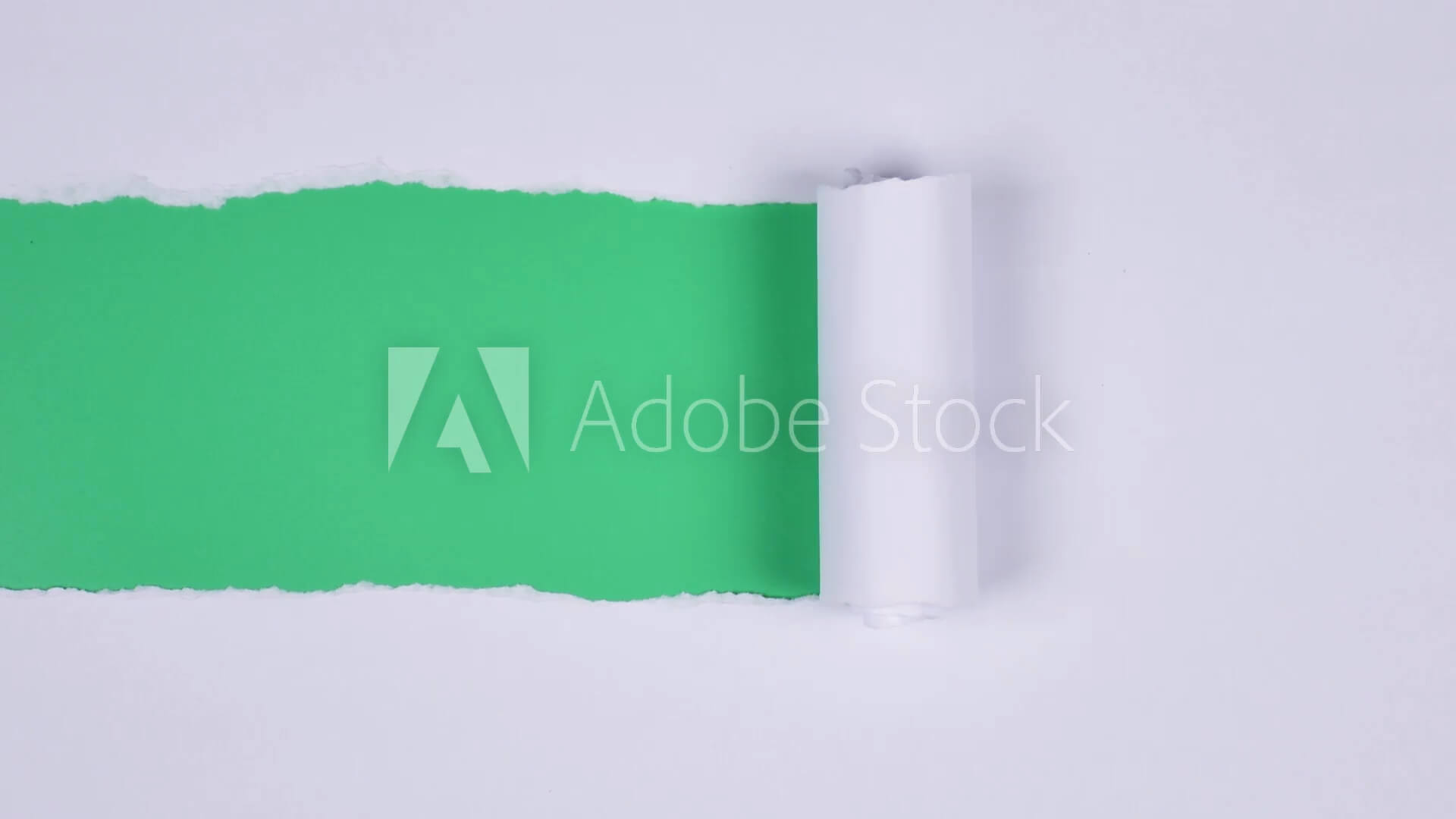 Page Tear Footage Adobe Stock 510624334